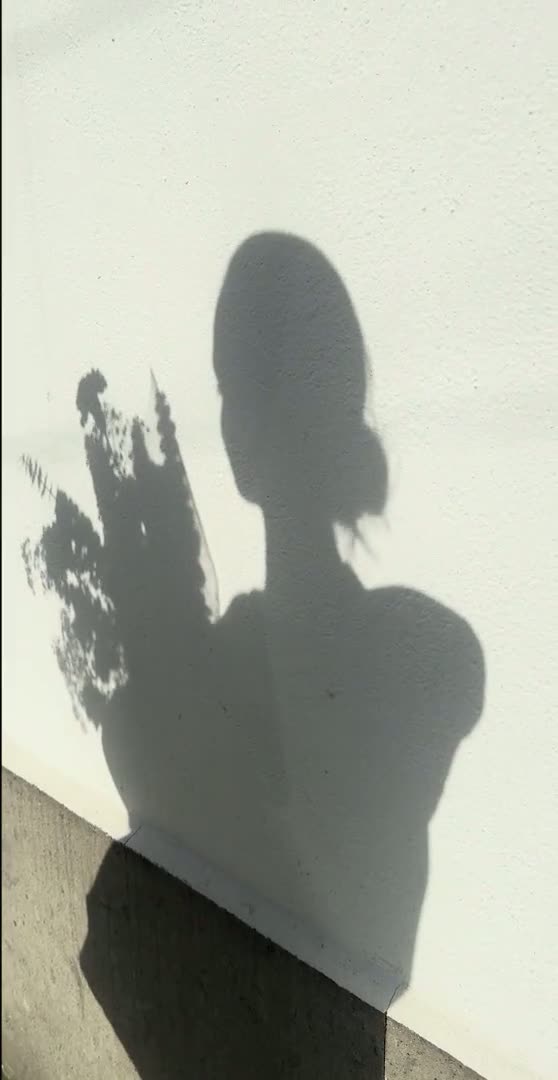 A woman’s silhouette moving across a sunlit wall